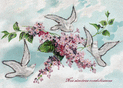 Colombe et fleurs pour un dernier adieu